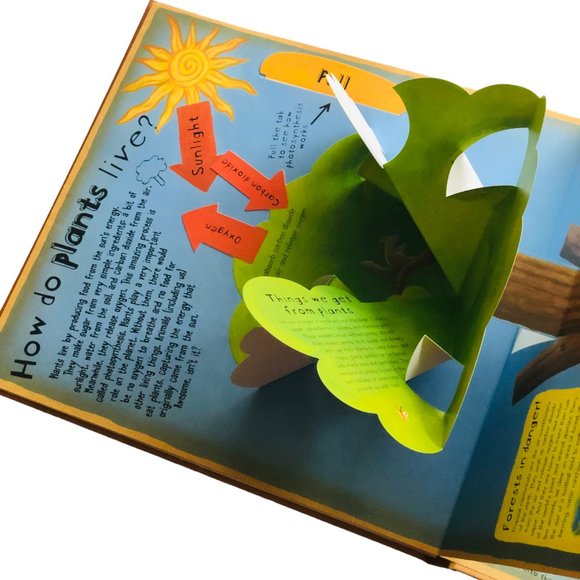 HOW THE WORLD WORKS :A Hands-on Guide To Our Amazing Planet Pop-up Book - Picture 4 of 6